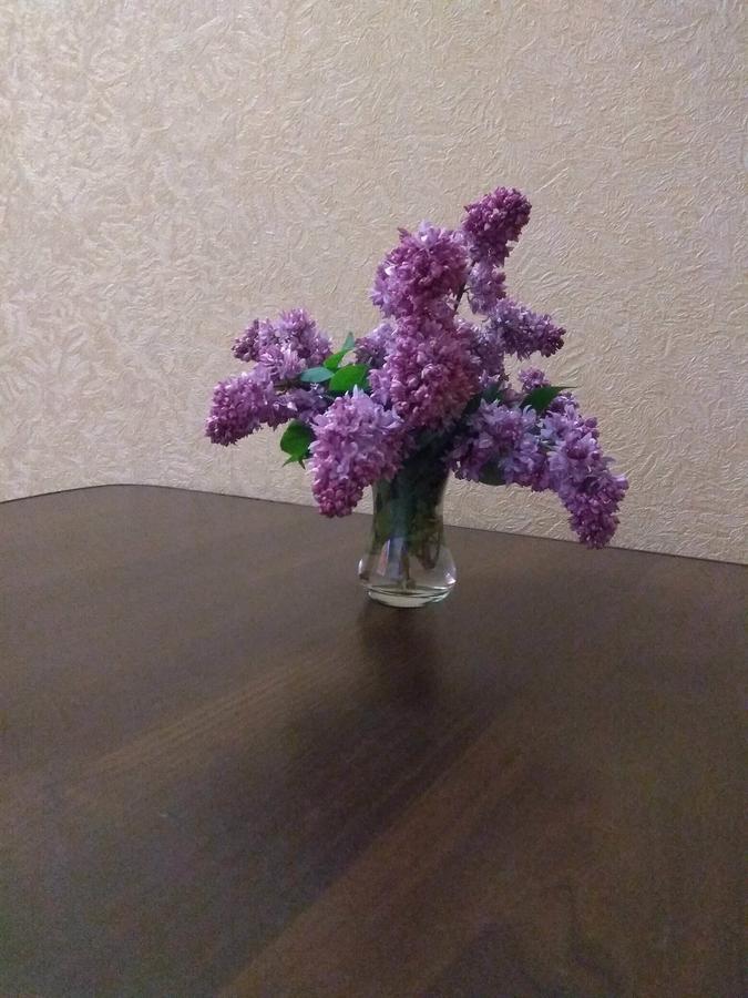 Khorol-1 Motel Екстер'єр фото
